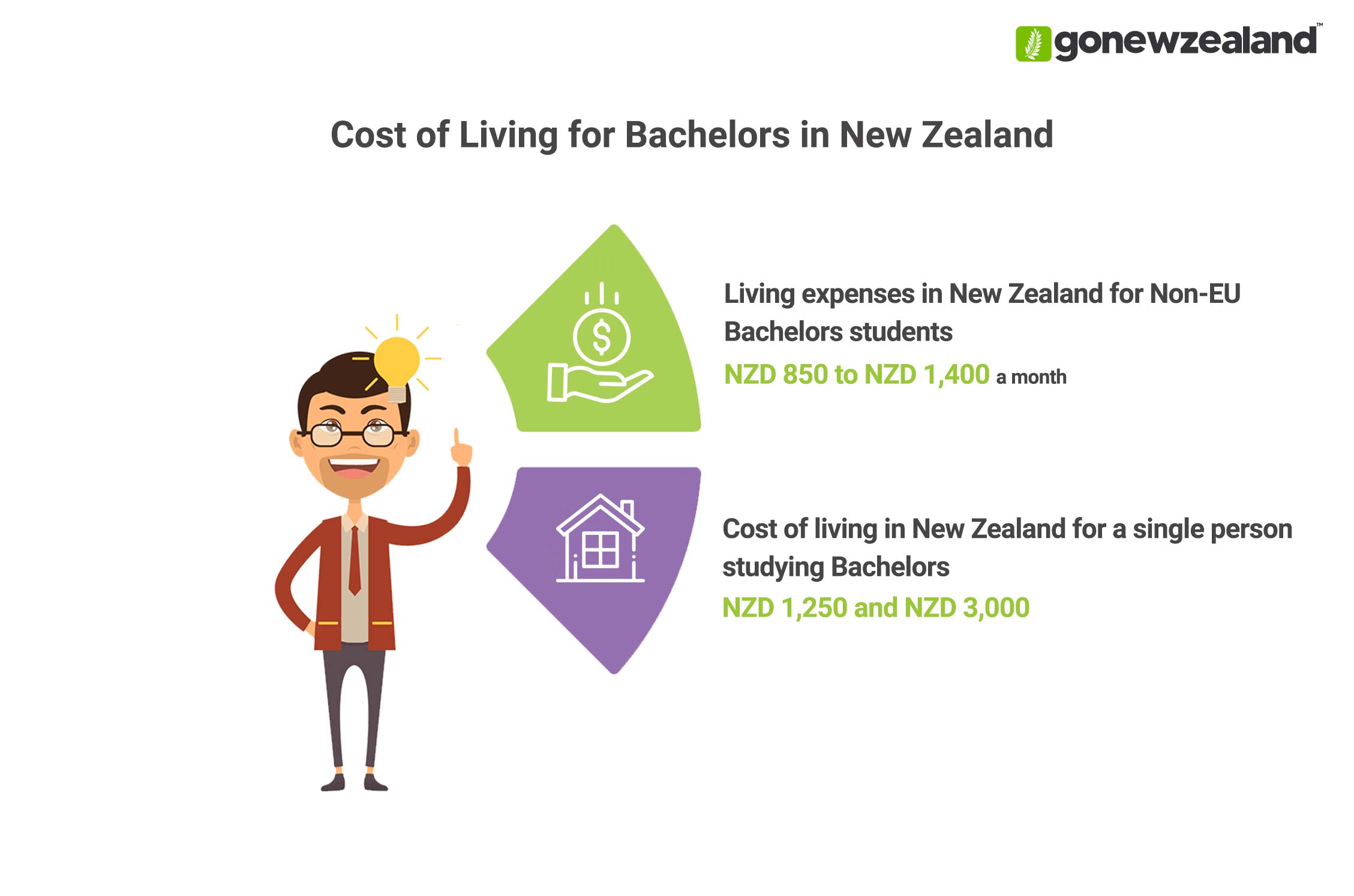 Bachelors in New Zealand Cost