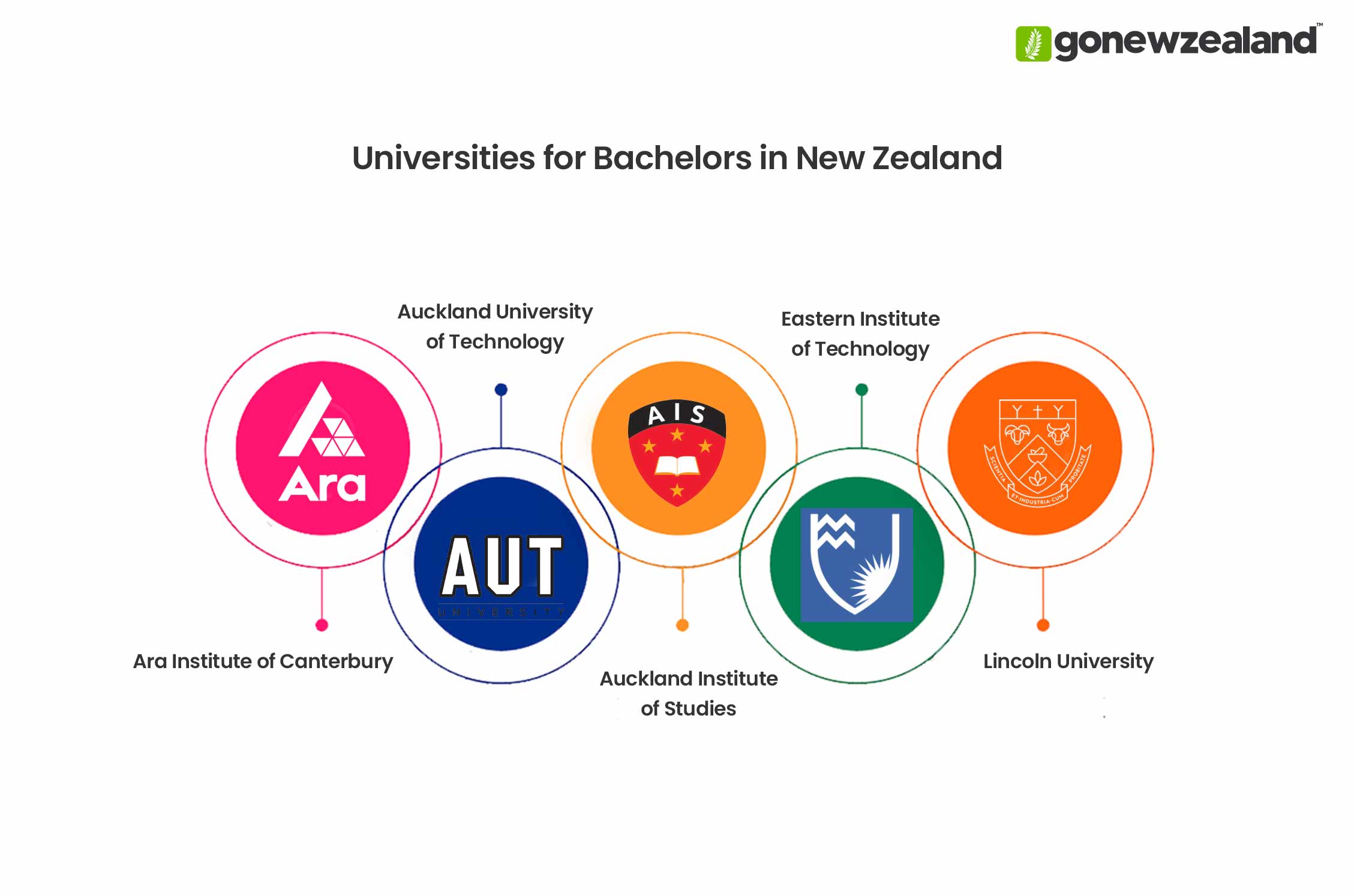 Bachelors in New Zealand Universities